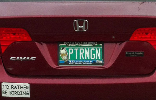 Birding License Plate