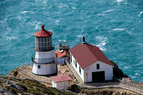 The birds and birders of Point Reyes, CA help hook David.  photo by donjd2