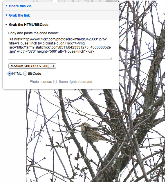 How to embed photos from Flickr. Click the share icon at the top of the photo and you get a drop-down menu. Select the "Grab the HTML/BBCode" option and then click to select that text block. This is what you will paste in your eBird species comments.