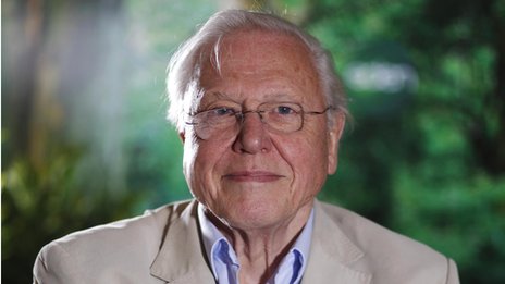 Sir David Attenborough will launch Tweet Of The Day on May 6th