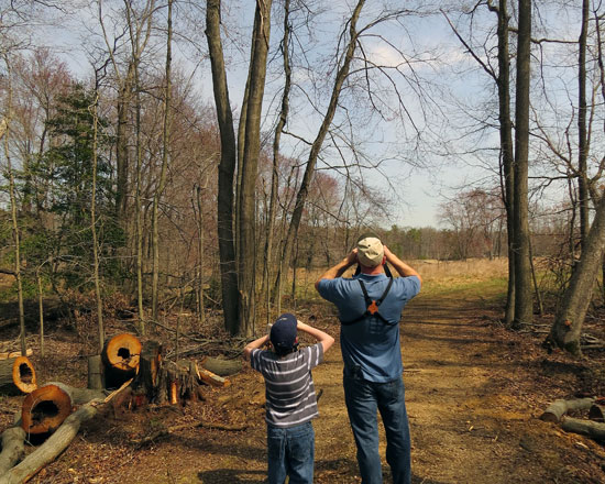 The bare trees made spotting birds easy.  Here Dane (l) and Robb search for a house finch up ahead.