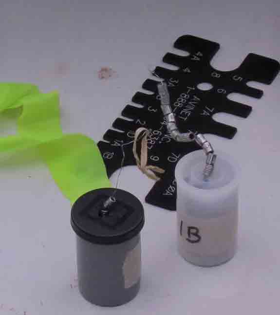 Banding rings and a sizing tool.