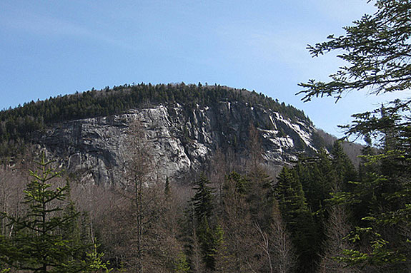The cliffs of Marshfield Mountain where Peregrine Falcons hang out.