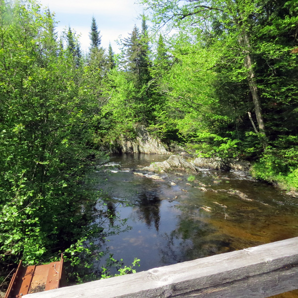 The North Branch is a lovely stream here, colored brown with tannic acid.