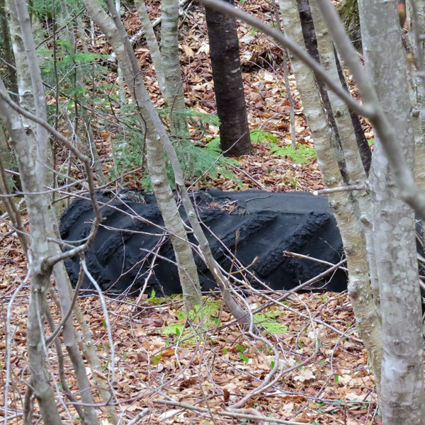 Why haul it out when you can just leave it in the woods? 