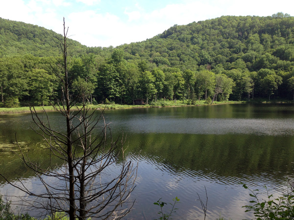 One of the cabins is directly across the pond.