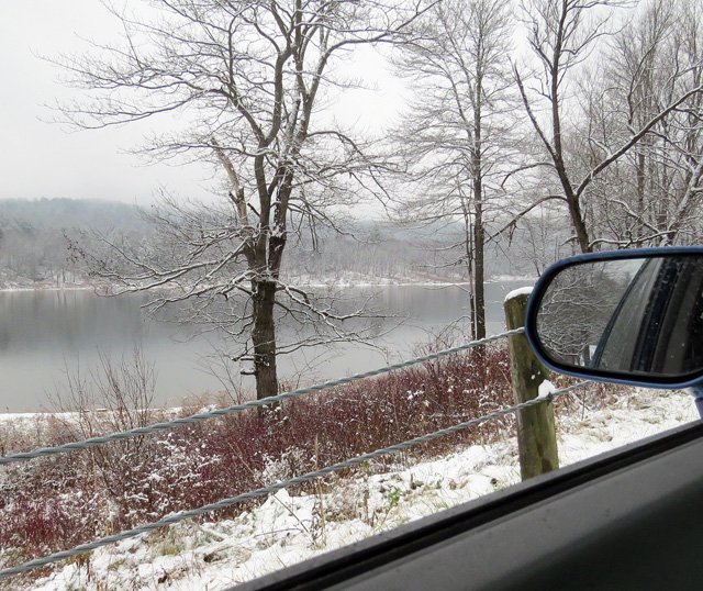 New snow and no birds -- it looks like most of our migration is over.