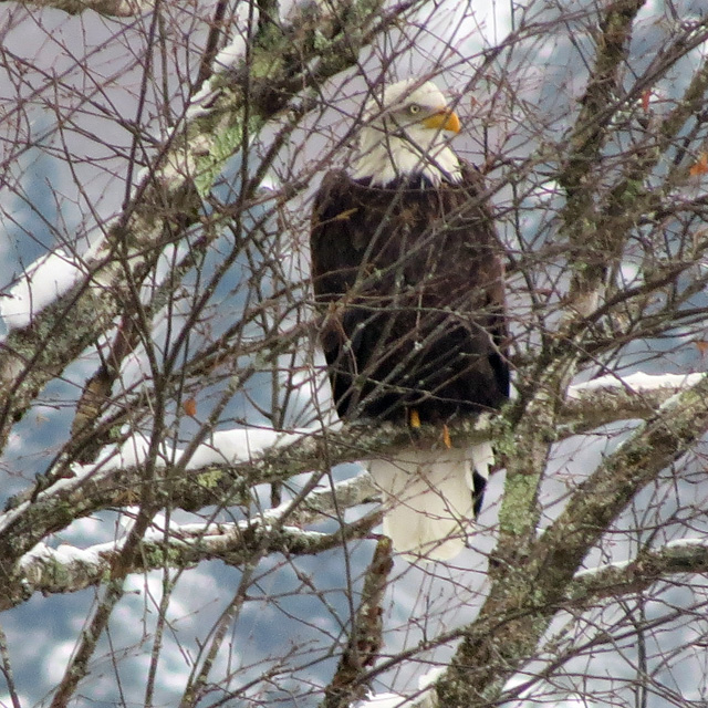 The SX50 Canon is perfect for "grab and go" shots like this.
