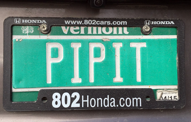 Fred and Chris bird under the name of Team Pipit, and they are a great team.