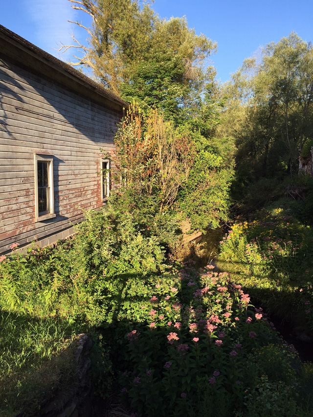 An old mill stream with the  photographer's shadow in the middle.