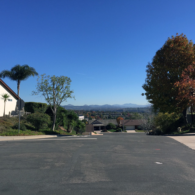Del Mar is a bedroom community north of San Diego with tropical plantings and lots of birds.