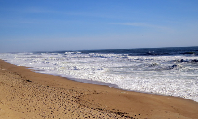 The ocean was pretty dramatic with a stiff wind and high tide and as far as I could tell, no birds.